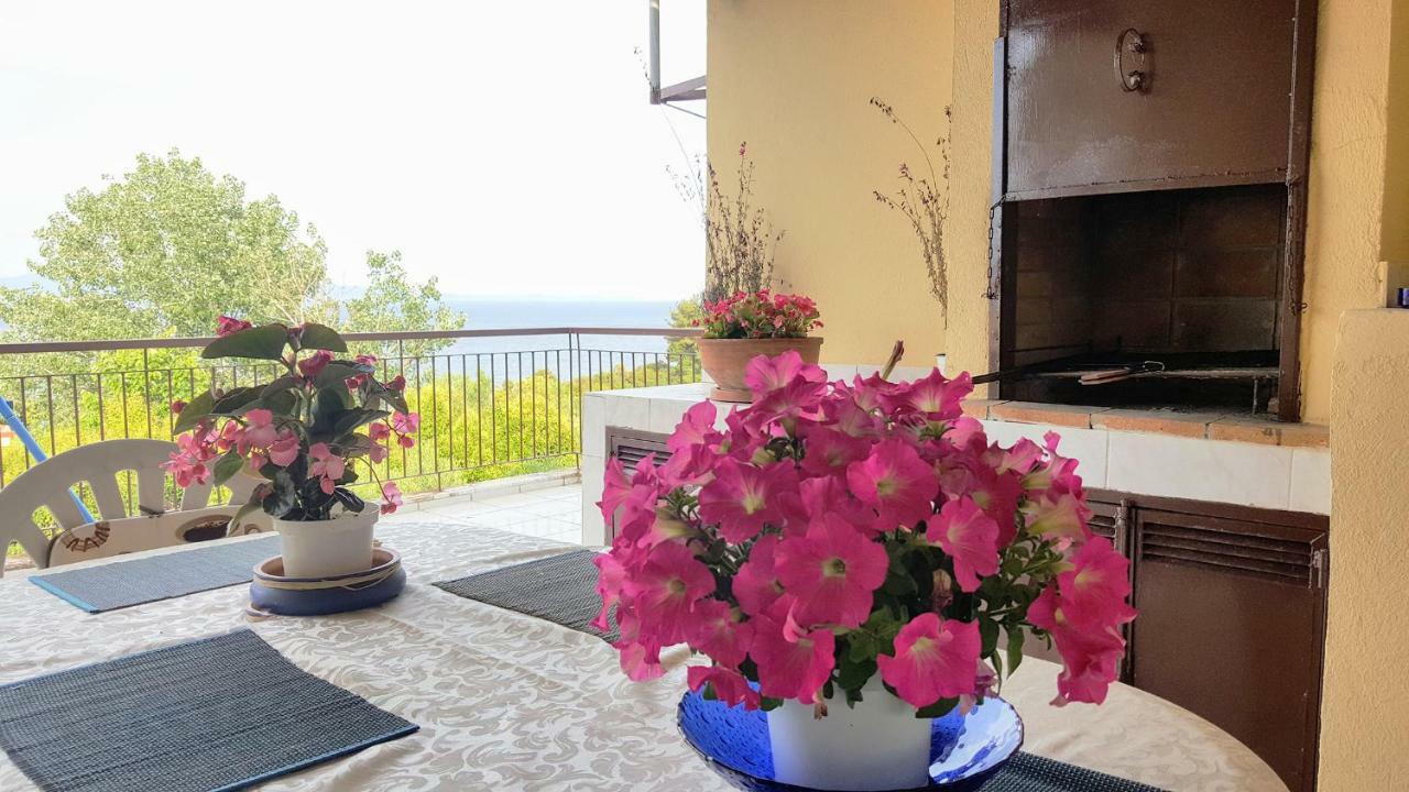 Amazing Sea View Loft, Afytos Apartment Екстериор снимка
